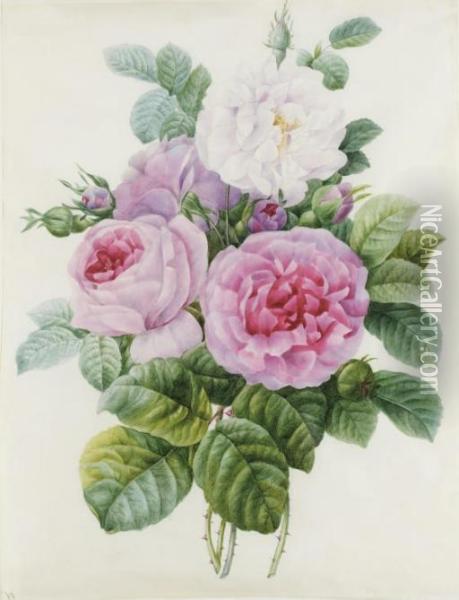 Bouquet De Roses Blanches Et Roses Oil Painting - Pierre-Joseph Redoute