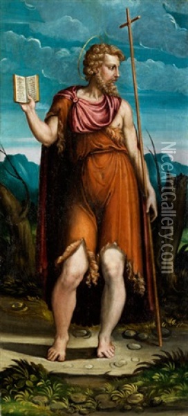 Heiliger Johannes Der Taufer Oil Painting - Jacopo Bertoia