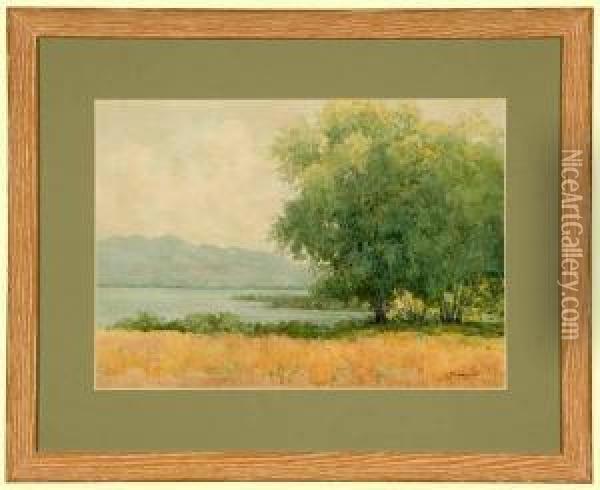 Willows Clear Lake Oil Painting - Lorenzo Palmer Latimer