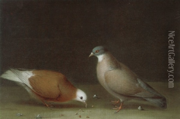 Zwei Tauben Oil Painting - Wenceslaus (Wenzel) Peter