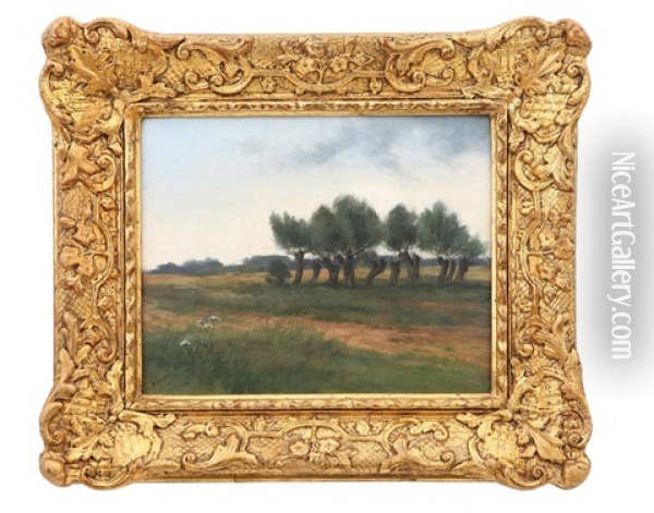 Krajina S Vrbami Oil Painting - Frantisek Kavan