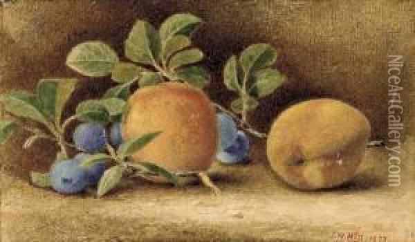 Still Life With Peaches And Plums Oil Painting - John William Hill