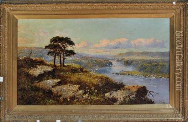 A Broad River Valley With Scots Pines On A Rocky Hillside In The Foreground Oil Painting - John Henry Boel