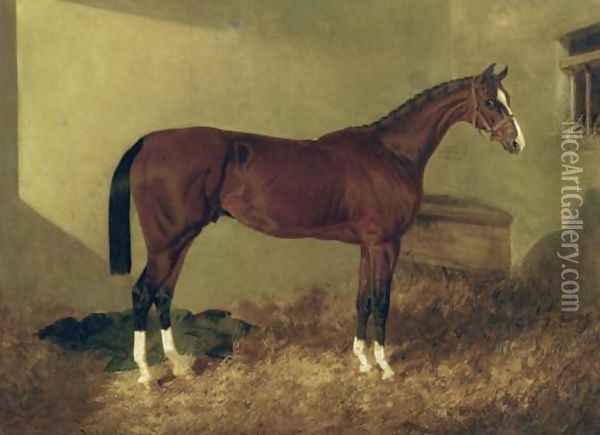 Aristides A Bay Colt 1844 Oil Painting - John Frederick Herring Snr
