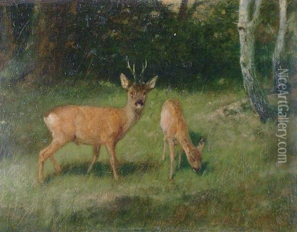 Deer In A Wood Oil Painting - Arthur Heyer