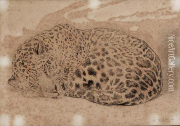 A Leopard Oil Painting - William Huggins