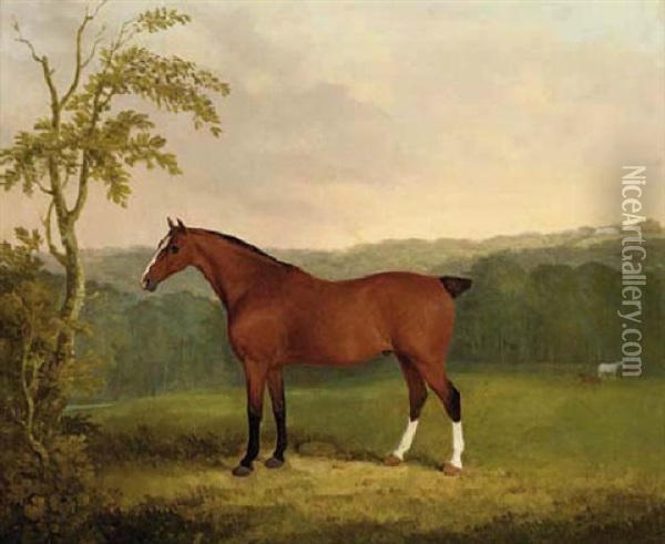 A Baby Carriage Horse, The Property Of E. Fuller-maitland, Esq., M.p. Oil Painting - James Barenger the Younger