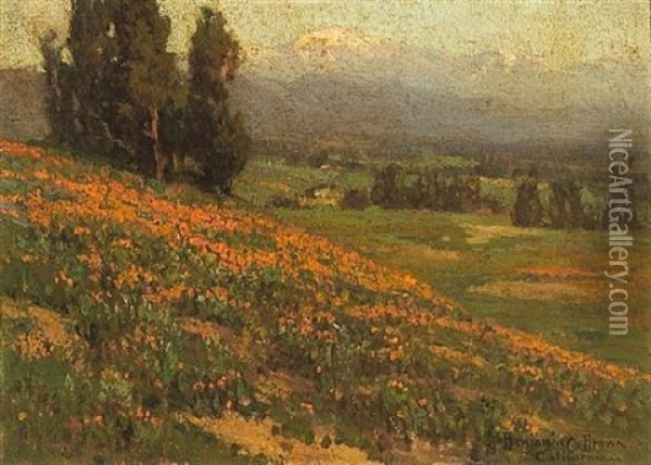Pasadena Poppies With Mount Baldy In The Distance Oil Painting - Benjamin Chambers Brown