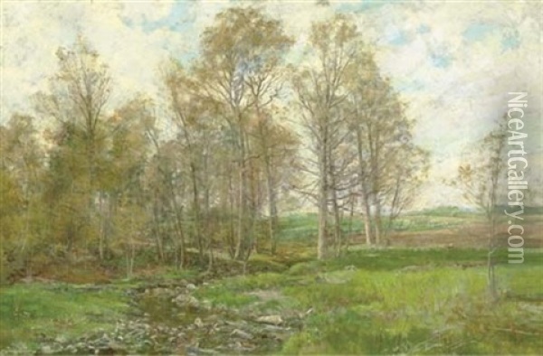 A Rocky Brook In A Green Field Oil Painting - Olive Parker Black