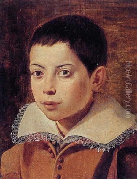 Portrait Of A Boy Oil Painting - Annibale Carracci