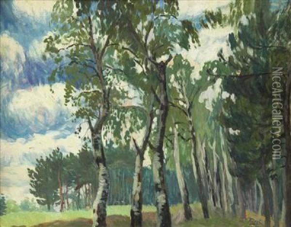 Birches On The Edge Of A Forest Oil Painting - Jindoich Furst