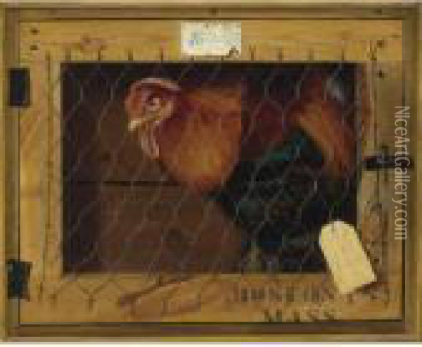 Rooster In Transit Oil Painting - Alexander Pope