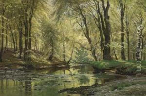 A Woodland Stream Oil Painting - Johannes Boesen