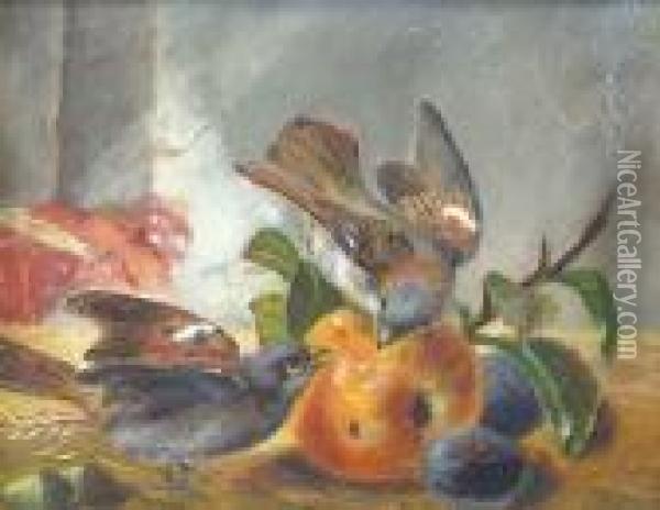 Chaffinches With An Apple And Plums Oil Painting - Charles Thomas Bale