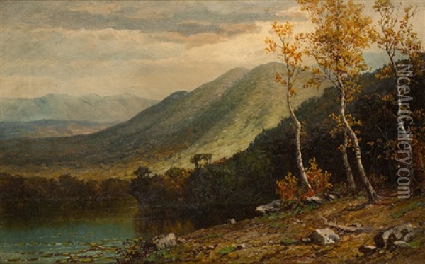 Adirondack Mountain View Oil Painting - Homer Dodge Martin