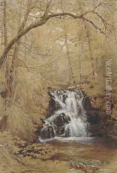 Indian Falls, Indian Brook, Cold Springs, New York Oil Painting - William Rickarby Miller