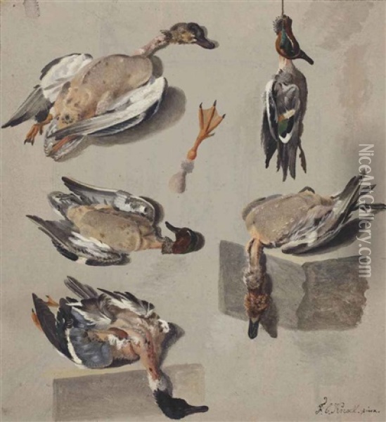 Studies Of A Teal Duck And Other Wild Duck (recto); A Seated Man Reading (verso) Oil Painting - Franciscus Cornelis Knoll