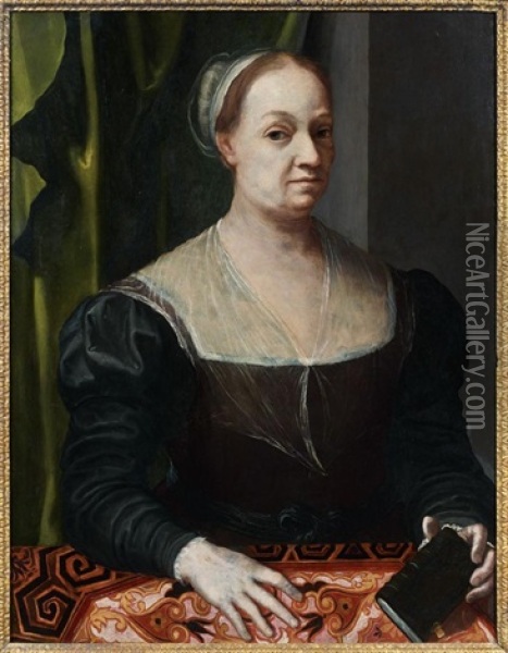 Portrait De Femme Tenant Un Livre Oil Painting - Jacopo del Conte
