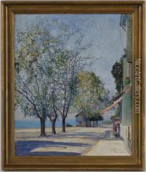 Bord De Lac Oil Painting - Emile Patru