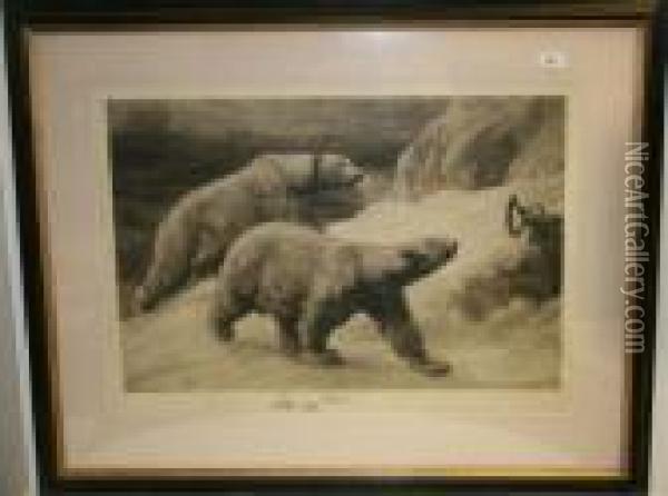 Polar Bears Oil Painting - Herbert Thomas Dicksee