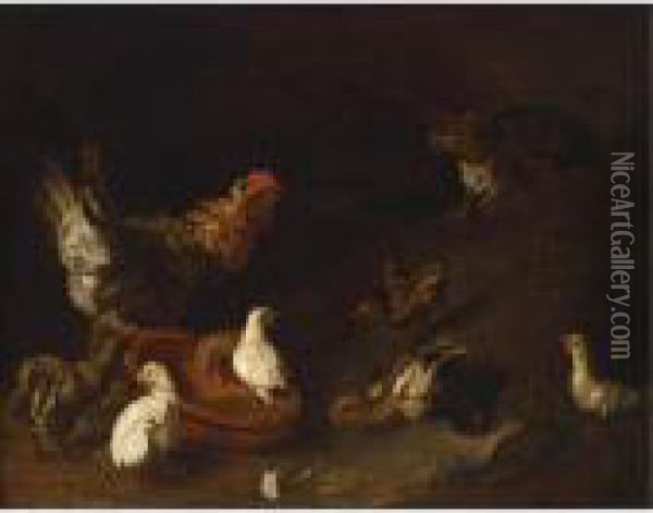 Poultry Near An Earthenware Bowl Together With A Cat Oil Painting - Adriaen van Utrecht