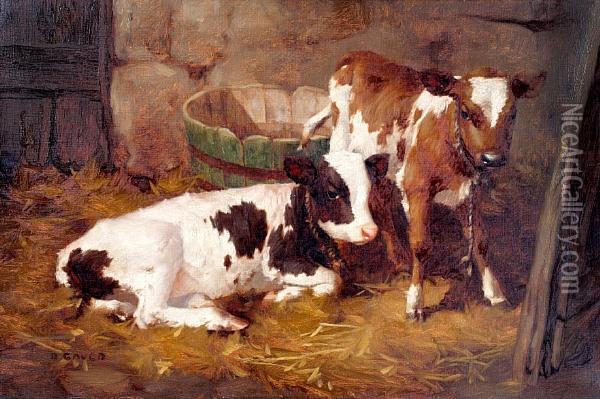 Calves In A Barn Interior Oil Painting - David Gauld