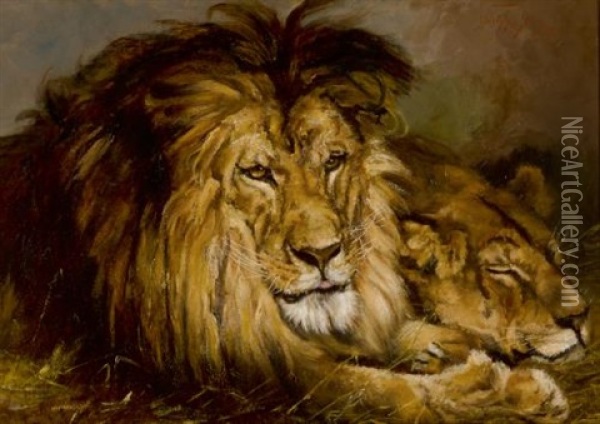 Resting Lion And Lioness Oil Painting - Geza Vastagh