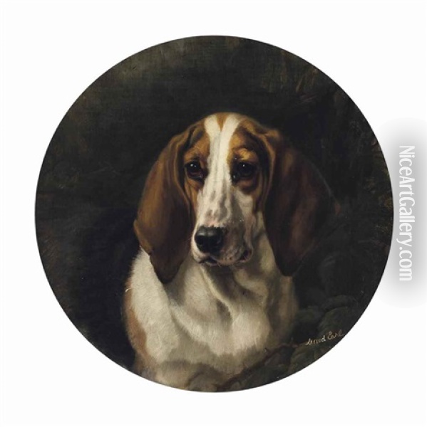 A Favourite Hound Oil Painting - Maud Earl