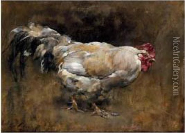 The White Cockerell Oil Painting - George Pirie