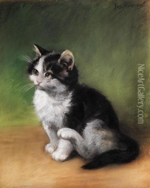 Junge Katzchen Oil Painting - Josef Heimerl