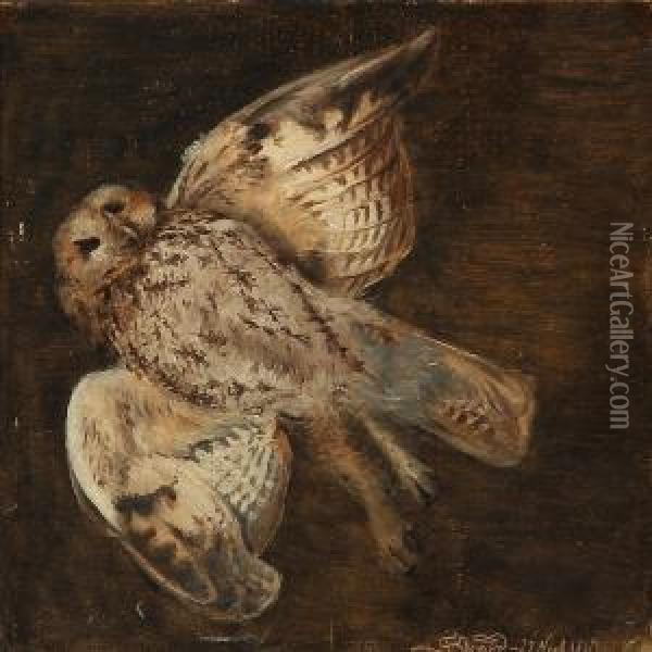 An Owl Oil Painting - Joakim Skovgaard