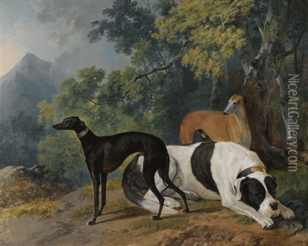 Two Greyhounds And A Mastif Belonging To The Duke Of Hamilton Oil Painting - Sawrey Gilpin