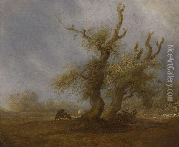 Wooded Landscape With A Shepherd Oil Painting - Salomon van Ruysdael
