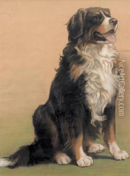 Berner Sennenhund Oil Painting - Burkhard Katzen-Flury