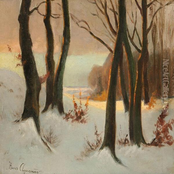 Sunny Weather On A Winter Day In A Forest Oil Painting - Hans Agersnap