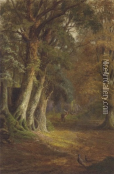 A Woodland Glade Oil Painting - John Fitzmarshall