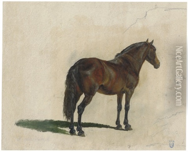 Stehendes Pferd Von Hinten Oil Painting - Heinrich Buerkel