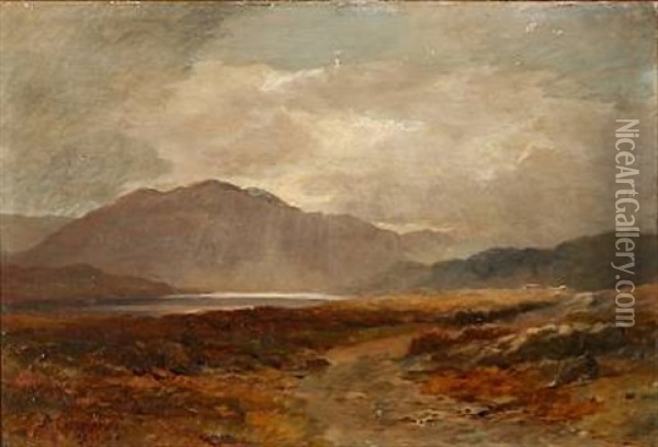 Autumn Loch Landscape (in Scotland?) Oil Painting - Duncan Cameron