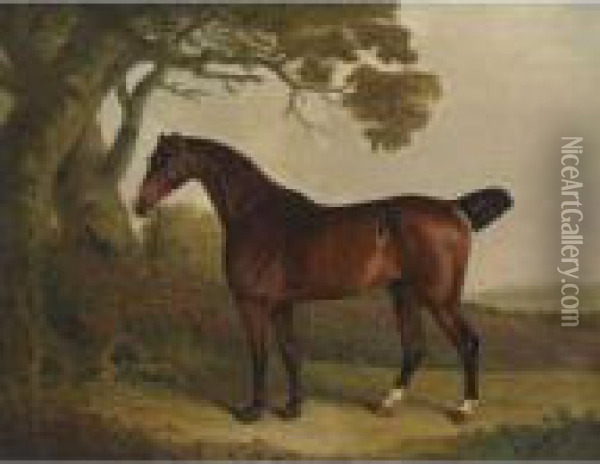 A Bay Horse Tethered To A Tree In A Landscape Oil Painting - Thomas Weaver