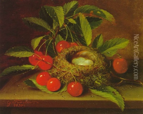 Still Life With Cherries And A Bird's Nest Oil Painting - George Forster