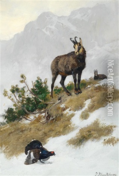 Gemsen Im Gebirge Oil Painting - Josef Schmitzberger