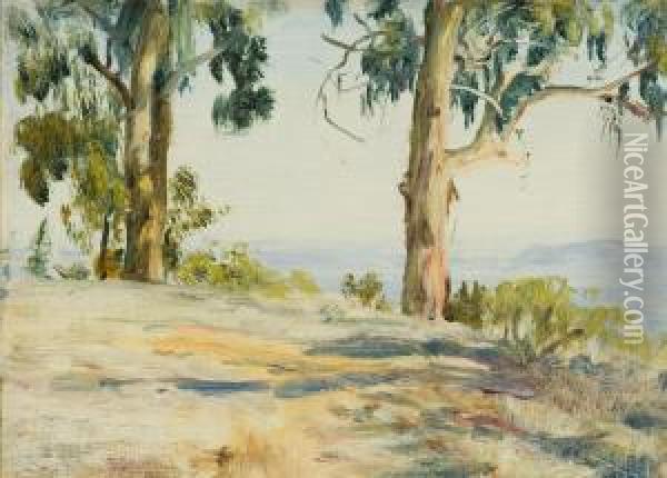 Montecito Vista Oil Painting - Howard Russell Butler