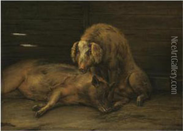 Two Pigs In A Sty Oil Painting - Paulus Potter