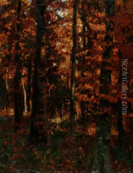 Wald In Leuchtendem Herbstlaub Oil Painting - Eugen Wolff