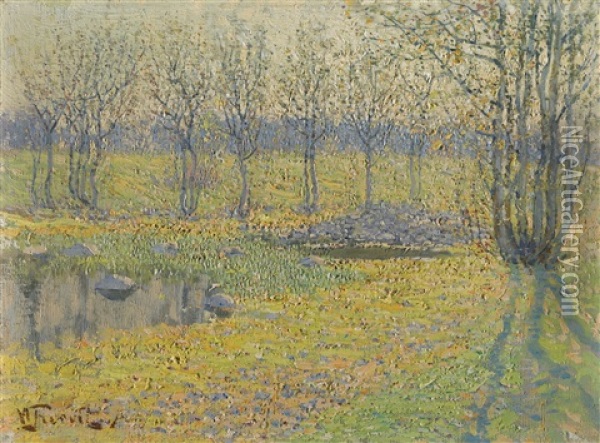 Meadow Pond Oil Painting - Vilhelms Purvitis