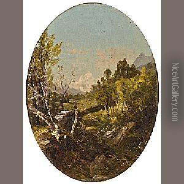 Valley Landscape, Trenton Falls, Ny Oil Painting - John Frederick Kensett