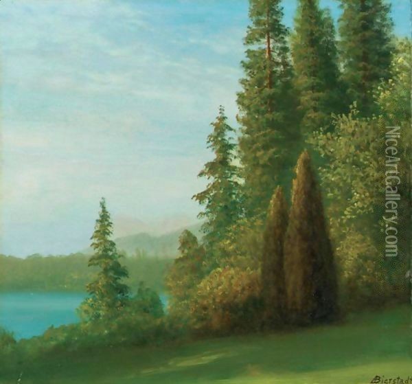 Landscape With Trees And Lake Oil Painting - Albert Bierstadt