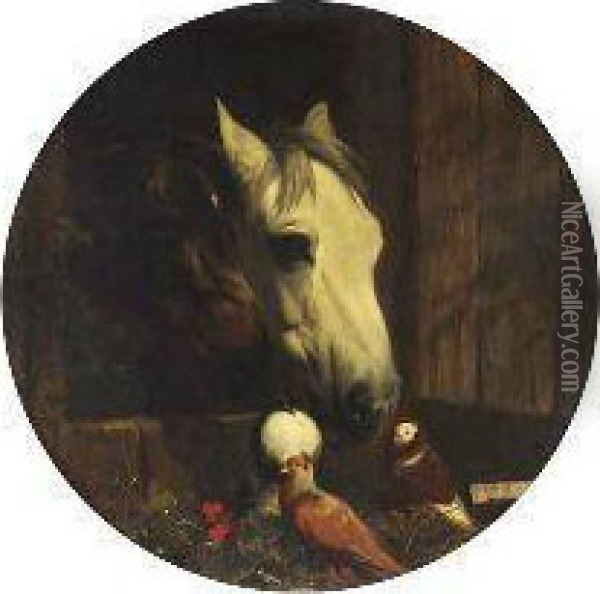 Study Of Horses' Heads Oil Painting - John Frederick Herring Snr