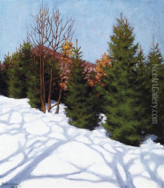 Winter Sunshine Oil Painting - Samu Boertsoek