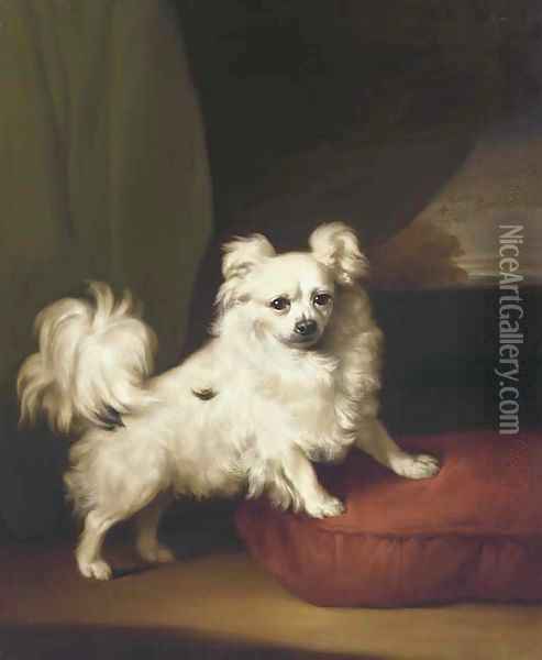 A White Papillon standing on a cushion Oil Painting - Henry Bernard Chalon